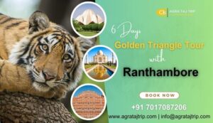 Golden Triangle Tour, Golden Triangle with ranthambore tour, delhi agra jaipur tour, delhi agra jaipur tour with tiger safari