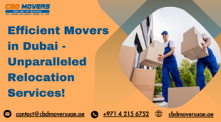 Efficient Movers in Dubai Unparalleled Relocation Services