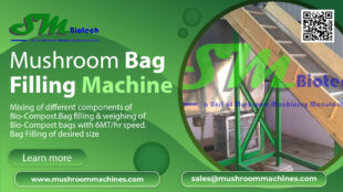 Mushroom Bag Filling Machine