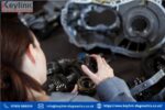 Throttle Adaptions Specialists - Throttle Adaptions Specialists