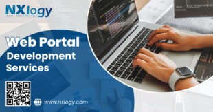Web Portal Development Services NX 2