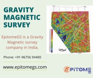 gravity magnetic survey