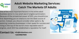 Adult Website Marketing Services Catch The Markets Of Adults 1