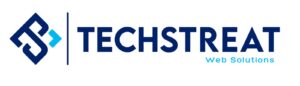 Techstreat Web Solutions Logo