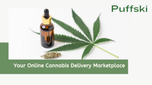 Your Online Cannabis Delivery Marketplace 1