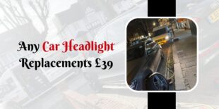 Any Car Headlight Replacements 39