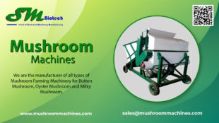 Mushroom Machines