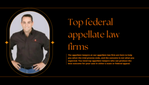 Top federal appellate law firms