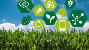 smart agriculture farm website design
