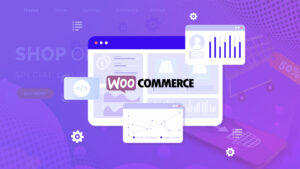 Increase WooCommerce App Speed | BigCloudy