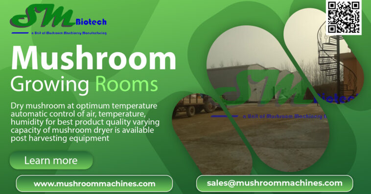 Mushroom Growing Rooms image