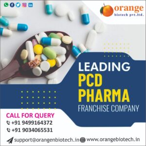 Explore the diverse Opportunities of the PCD Pharma Franchise in India