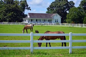 Horse fence or Ranch Rail Fence