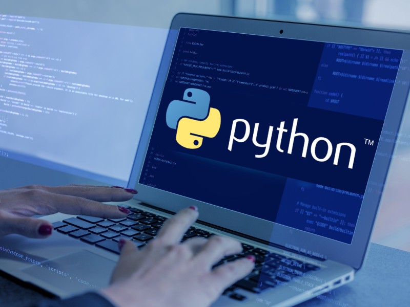 python full stack developer