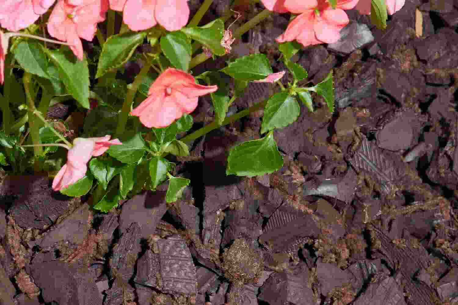 Garden Rubber Mulch