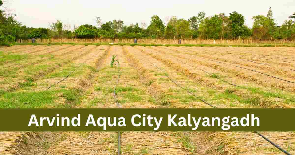 Arvind Aqua City Kalyangadh