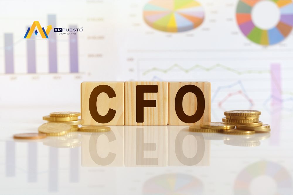 CFO Assistance Services