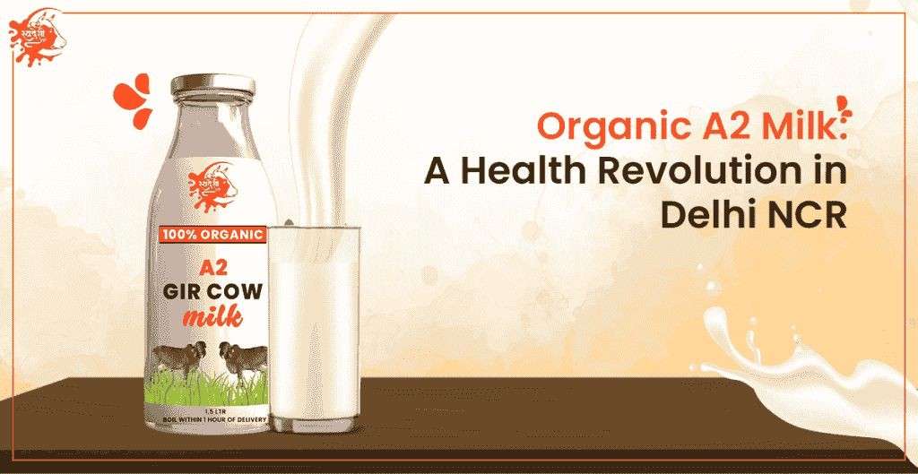 Benefits of A2 Gir Cow Milk