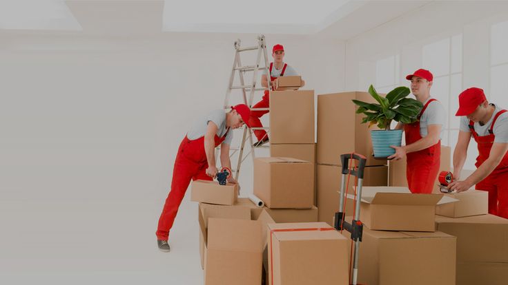 Why Should You Trust Packers And Movers Companies