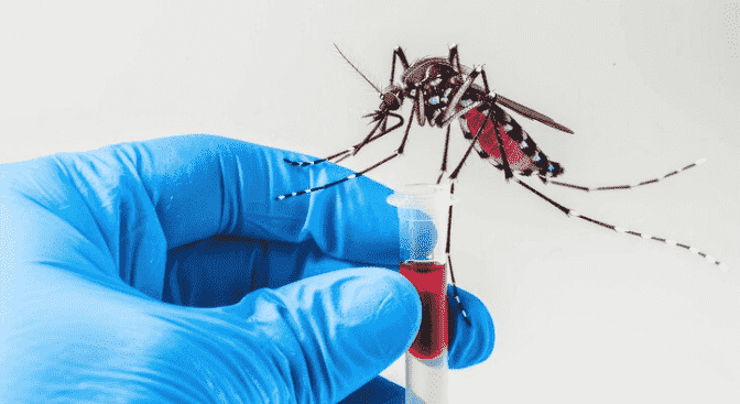 dengue test in delhi