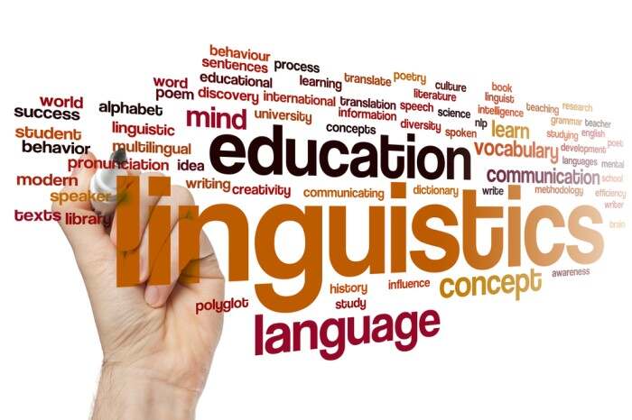 Online Spoken English Classes in Noida