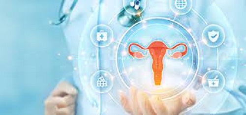 Best Gynecologist Doctor In Delhi