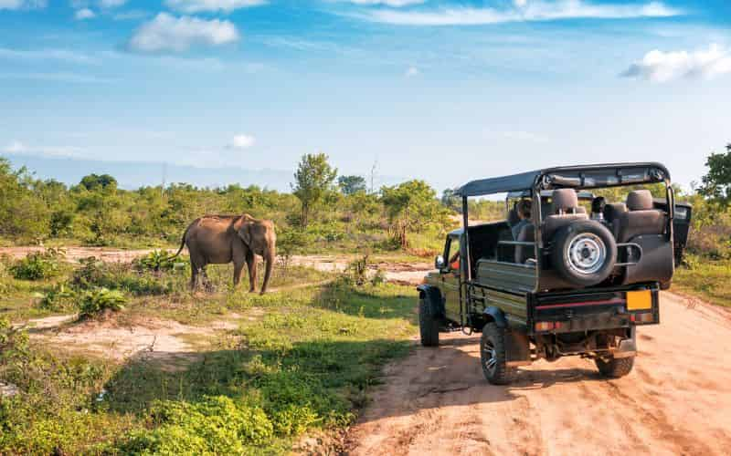 Yala National Park