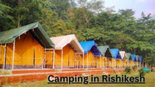 Rishikesh Camping