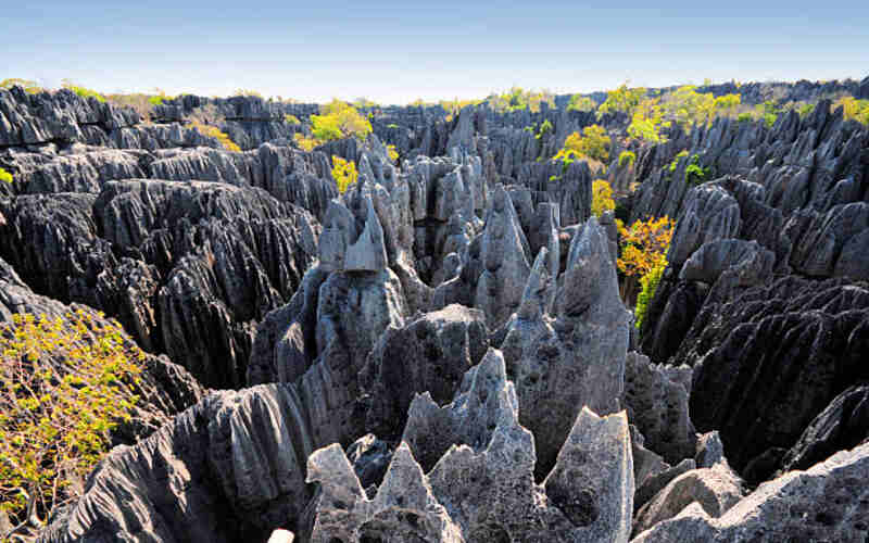 things to do in Madagascar