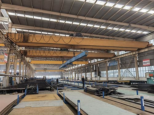 Double Girder Bridge Crane