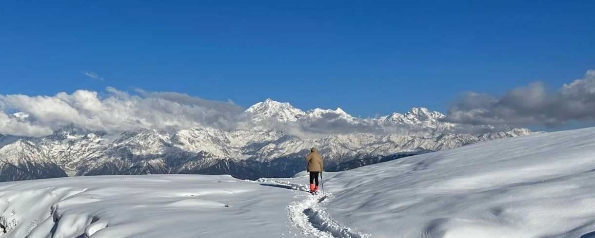 dayara bugyal winter trek snowy trails