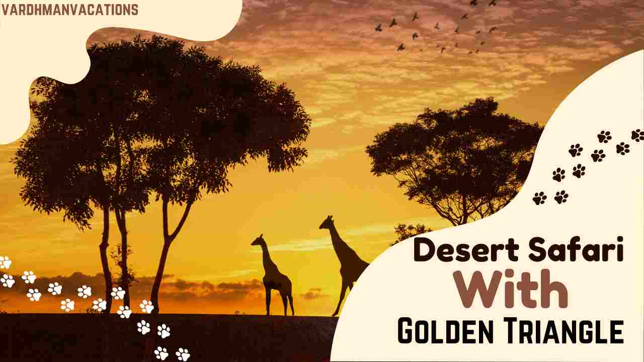 Desert Safari with Golden Triangle