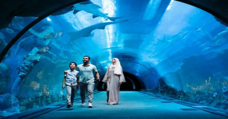 Top Reasons to Visit Dubai Mall Aquarium and Underwater Zoo Dubai is a city that has embraced luxury, innovation and world class attractions and the Dubai Mall Aquarium and Underwater Zoo is one of them. Situated in one of the world’s biggest shopping malls in Dubai, this fabulous feature allows people to discover the underwater world and meet a great number of sea creatures. If you are parents with children, animal lovers or just adventurous spirits, this stunning aquarium and zoo is definitely worth a visit. The Dubai Aquarium is a breathtaking aquatic experience that showcases thousands of marine species, offering visitors a chance to explore the wonders of the ocean from within the heart of the city. The Dubai Mall Aquarium is one of the largest suspended Aquariums in the world with over 33,000 aquatic animals, such as sharks, rays and thousands of exotic fish. The Underwater Zoo situated on the second level right above the aquarium, lets visitors explore different continents and their seas, rainforests and coral reefs. This is a center where people can get acquainted with the concept of marine conservation though enjoying the beautiful animals of the sea. For those willing to make their experience even more exciting, one can feed sharks at the Dubai Mall Aquarium and Underwater Zoo, or take a glass bottom boat ride. Located in the Dubai Mall, the aquarium can be easily visited together with shopping, eating out and having fun – all in one place, which is great for the whole day activity. Don’t leave without it – buy your ticket for the Dubai Mall Aquarium and Underwater Zoo for a fun, informative, and visually stunning experience. Here are the Top Reasons to Visit Dubai Mall Aquarium and Underwater Zoo 1. A Sneak Peek at the World’s Biggest Suspended Aquarium The Dubai Mall Aquarium also hosts one of the biggest suspended aquariums globally. Measuring over 10 million liters of water it is home to thousands of fish from all corners of the world. The aquarium offers a great display of the world of sharks and stingrays, fish and other sea creatures and is a great attraction for families with children. It will be a pity to leave without having been through the glass tunnel and get eye to eye with these beautiful creatures, which is like swimming with the sharks without actually getting wet. 2. Explore the Underwater Zoo Housed at the second floor of the Dubai Mall, the Underwater Zoo comprises of rainforests, rocky shores, and deep sea environments. It includes such animals as otters, penguins and crocodiles apart from the sea creatures that are found in the aquarium. The zoo provides an opportunity for the visitors to touch and feel the exhibits as well as providing programs that make it an ideal place for families and children. It is the most suitable place to learn about the conservation and marine species diversity. 3. Exciting Animal Encounters For those who are interested in more daring activities there are the Dubai Mall Aquarium and Underwater Zoo. You can dive with sharks, touch rays or even take a glass bottom boat trip where you can watch the sea creatures from above. These options give one a unique way of interacting with the marine species and get the best out of the Dubai Mall Aquarium and Underwater Zoo. 4. The Glass-Bottom Boat Ride Without doubt, one of the most interesting ways to tour the Dubai Mall Aquarium is through the boat which is actually made of glass bottom. This thrilling experience enables one to hover above the water of the aquarium and thus have a vantage view of the aquatic life. While you are on the board you can see fish, rays, and even sharks moving just beneath the water, which makes the experience rather both calming and exciting. 5. Easy Access within Dubai Mall Seeing the Dubai Mall Aquarium and Underwater Zoo is not a challenge because it is situated in the Dubai Mall, which is one of the largest shopping malls globally. Visitors can then shop, eat or be entertained after the aquarium tour, which makes it an excellent place to visit while on a tour of the city of Dubai. If you are intending to visit the Burj Khalifa or any other attraction, Dubai Mall is advantageously located in the middle of the attractions hence making your traveling easy. 6. A Family-Friendly Attraction The visitors with children will definitely appreciate the Dubai Mall Aquarium and Underwater Zoo. Due to many displays, activities, and workshops, it is an attractive point of interest for all categories of visitors. Children can watch amazing marine creatures, find out about conservation and get involved with interactive sections. The attraction is fun and informative at the same time and it is therefore a fun experience for everyone. 7. Special Events and Seasonal Exhibitions In a year, Dubai Mall Aquarium and Underwater Zoo have had events and seasonal shows that enhance the fun of the visit. No matter if one has to do with holiday decorations or informative discussions, there is always something fresh to learn. It is also advisable to check the timetable to attend these special events and have even more fun during the visit. Conclusion Dubai Mall Aquarium and Underwater Zoo is a must visit for anyone who wants to visit Dubai. If you are interested in marine life, an adventure junky or just looking for a fun filled day for the family, this amazing attraction has it all. Do not miss your Dubai Mall Aquarium and Underwater Zoo ticket for a day of learning, fun and wonder. Mall Aquarium and Underwater Zoo