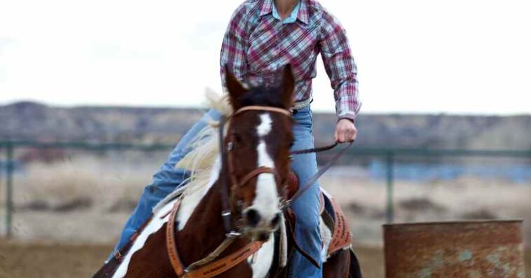 Learn The Art Of Betting With Harness Horse Racing