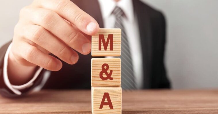 Should You Hire An M&A Consultant For Acquisition?