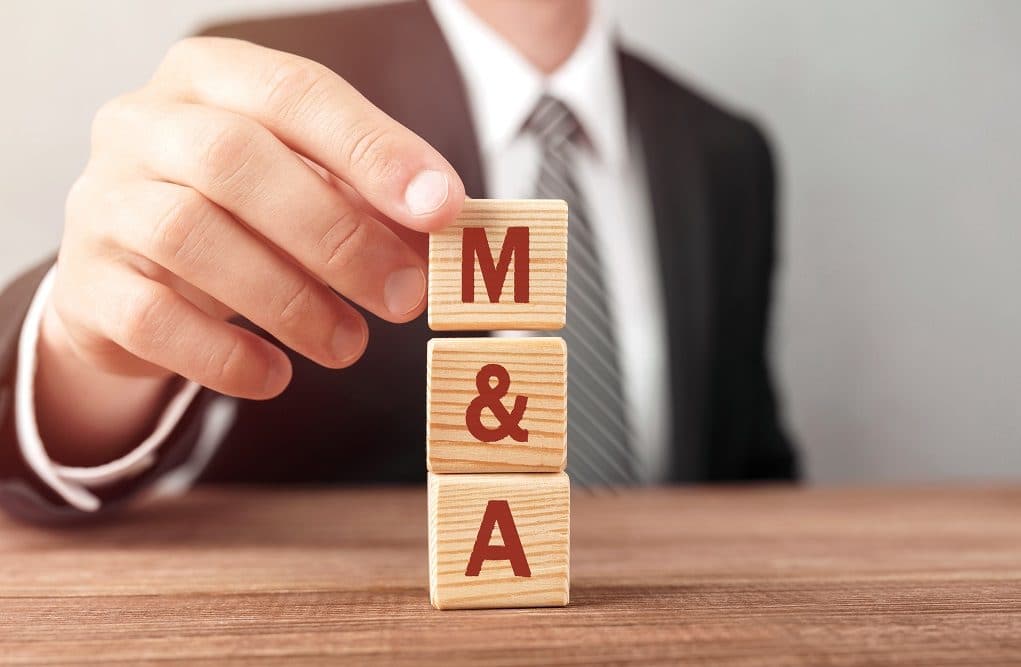 Should You Hire An M&A Consultant For Acquisition?