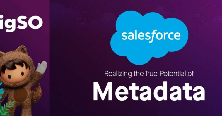 Realizing the True Potential of Salesforce Metadata | migSO