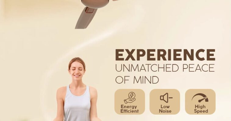 Decorative Ceiling Fan Manufacturers