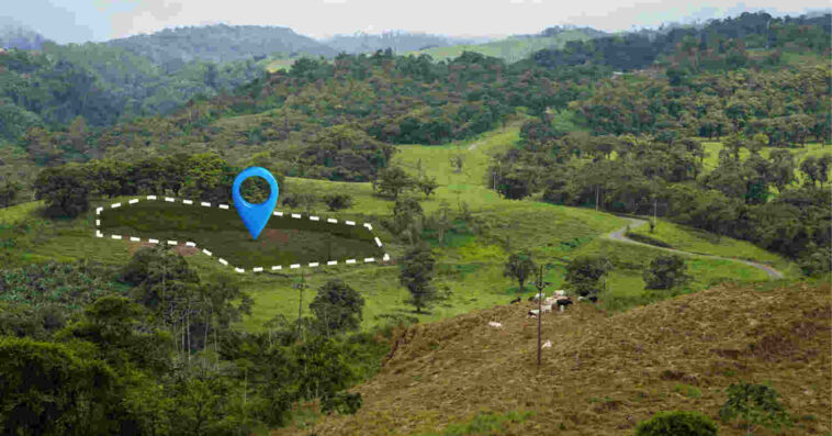 Forest Solution