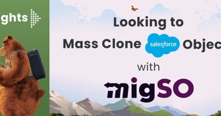 Looking to Mass Clone Salesforce Objects with migSO?