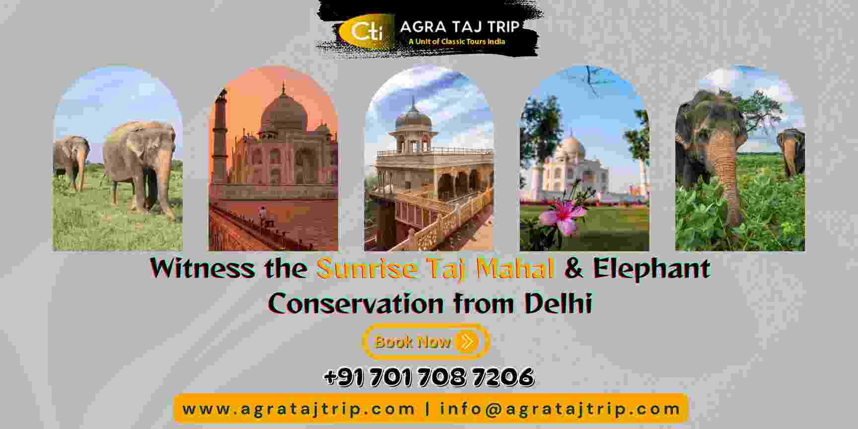 Witness the Sunrise Taj Mahal & Elephant Conservation from Delhi