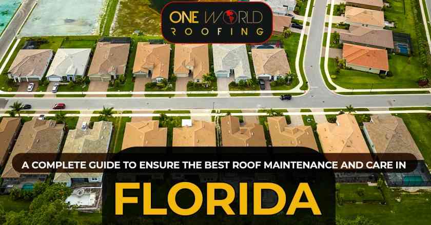 Best Roof Maintenance And Care in Florida