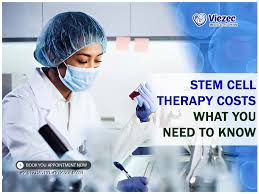 stem cells rejuvenation therapy