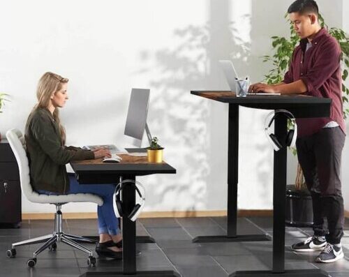 sit-stand desks