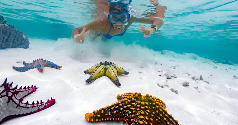 snorkling zanzibar