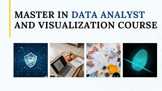 data analyst