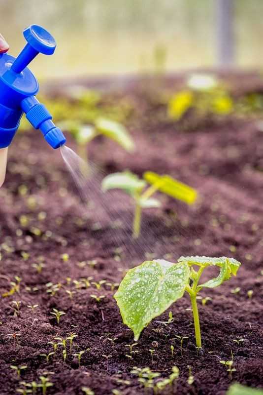 Boost Nutrient Uptake with Tailored Liquid Fertilizers