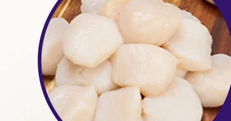 Fishery products supplier in Singapore