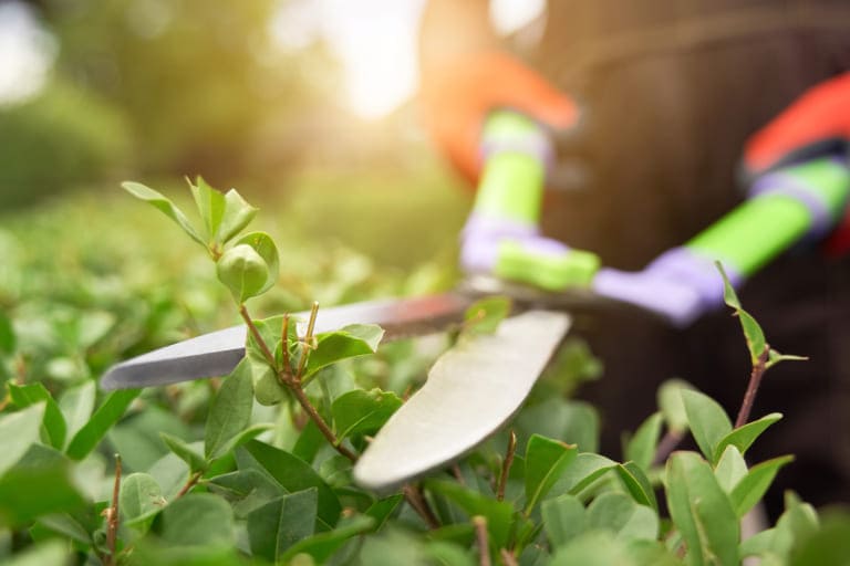 Edmonton Commercial Landscaping Trends 2025: In & Out
