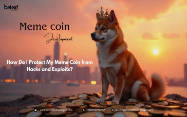 How Do I Protect My Meme Coin from Hacks andExploits?